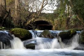 Guided Geology and Archaeology Walk of The Fairy Glen @ Kilbroney Park, Rostrevor 