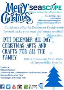 Christmas Themed Arts and Crafts @ Seascope Lobster Hatchery | Kilkeel | United Kingdom