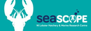 Kids Sea Life Crafts @ Seascope, Units 14&15, Binnian Enterprise Park, The Harbour, Kilkeel Bt34 4AX