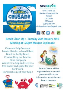 BIG Beach Crusade - Beach Clean Up @ Kilkeel | United Kingdom